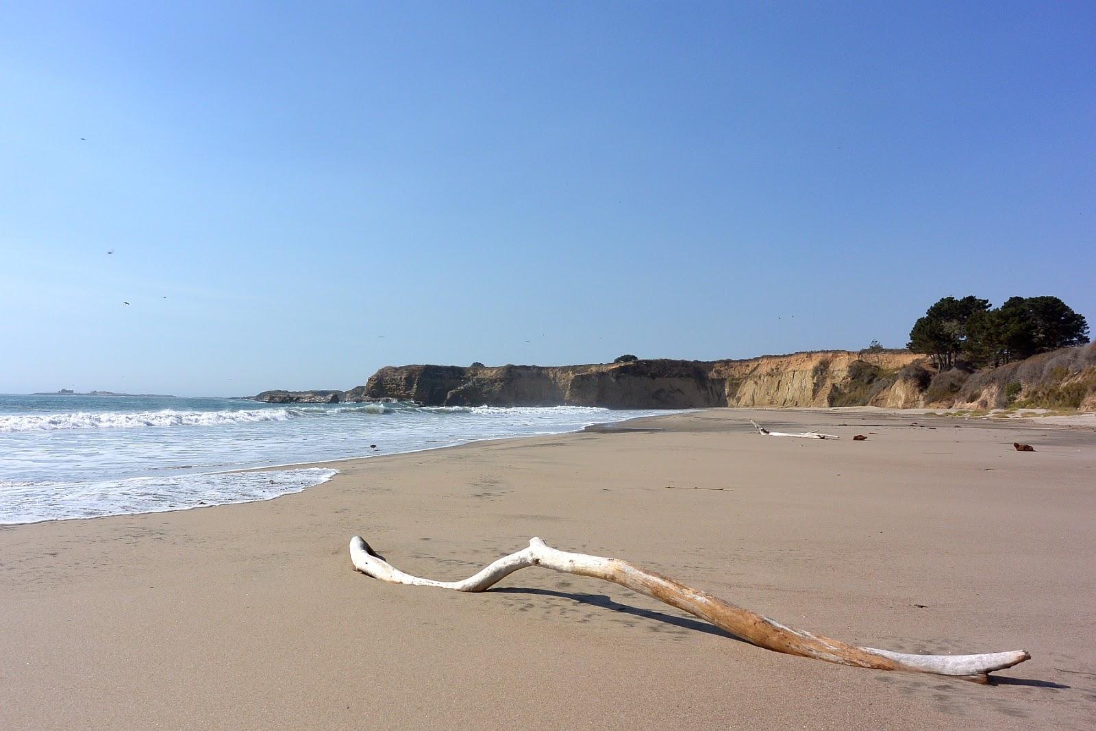 Sandee Libby Cove Beach