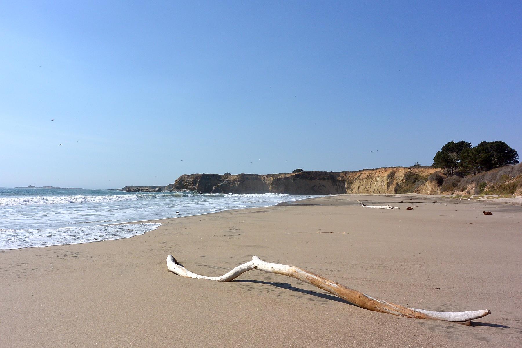 Sandee Libby Cove Beach