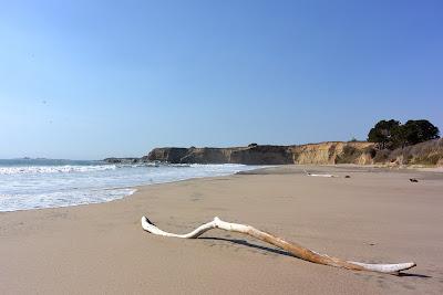 Sandee - Libby Cove Beach