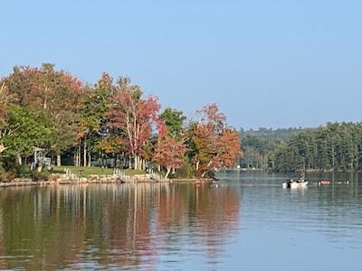 Sandee - Lake St. George State Park