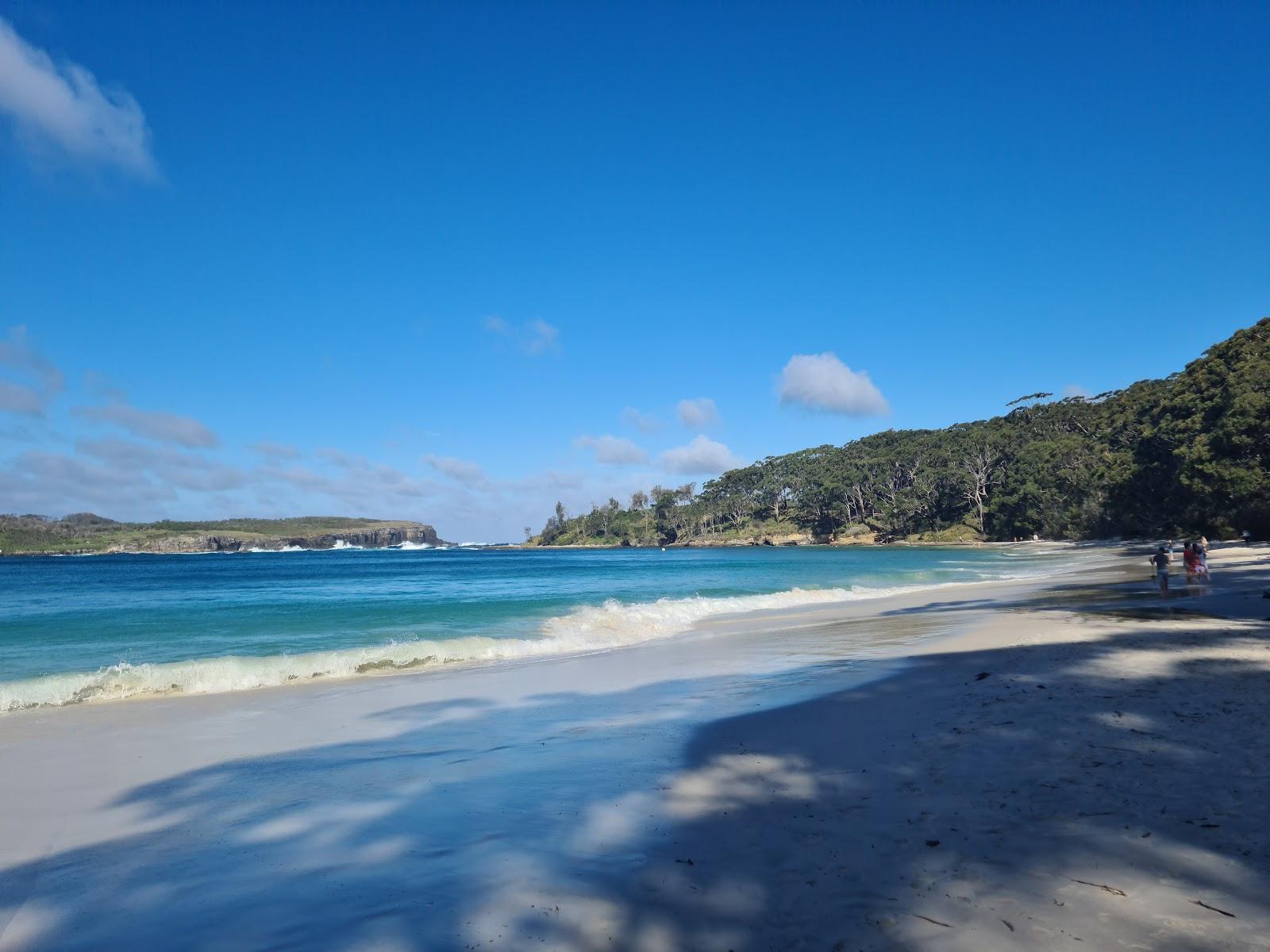 Sandee Murrays Beach Photo