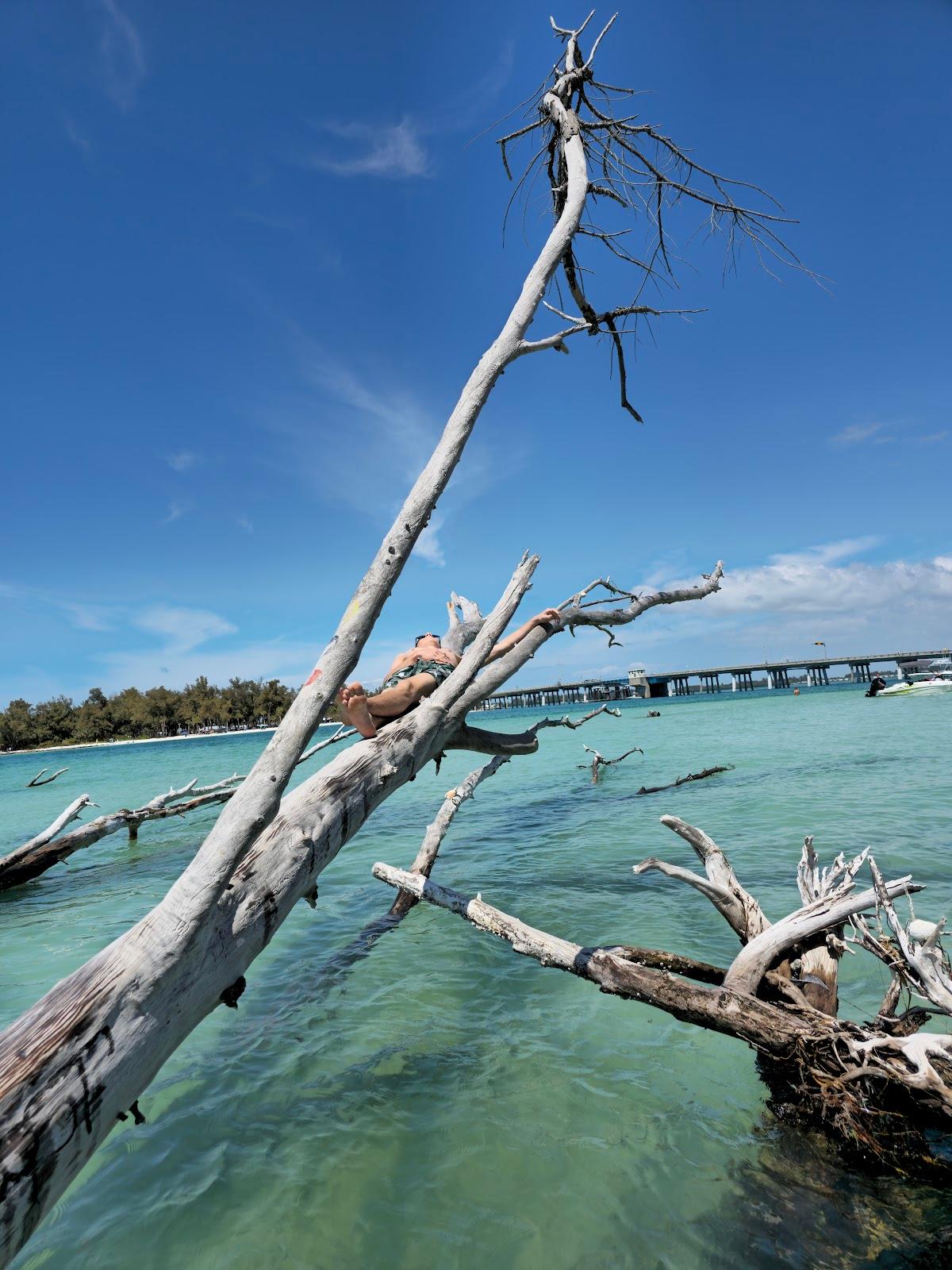 Sandee - Beer Can Island Beach