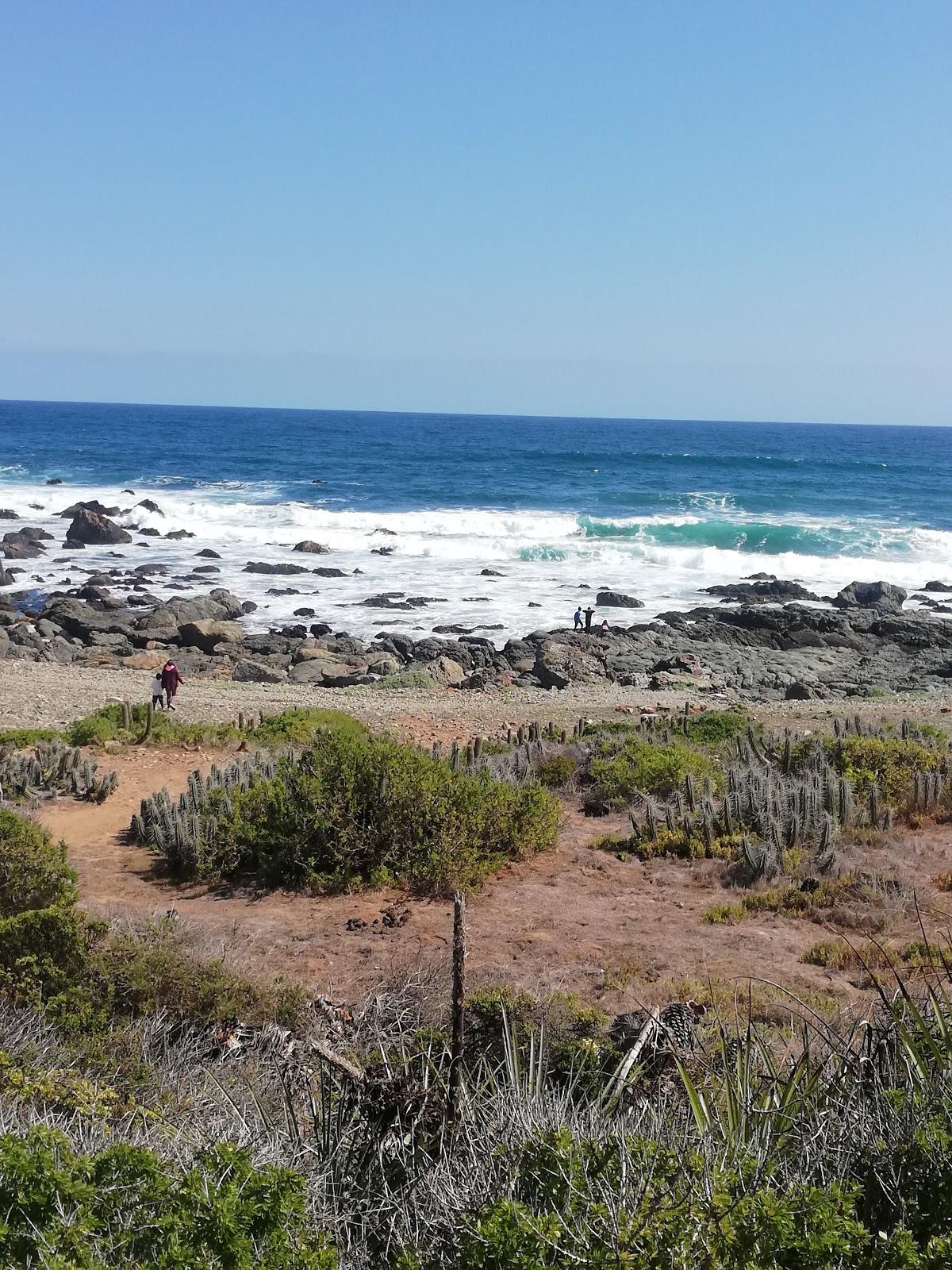 Sandee Playa La Ballena