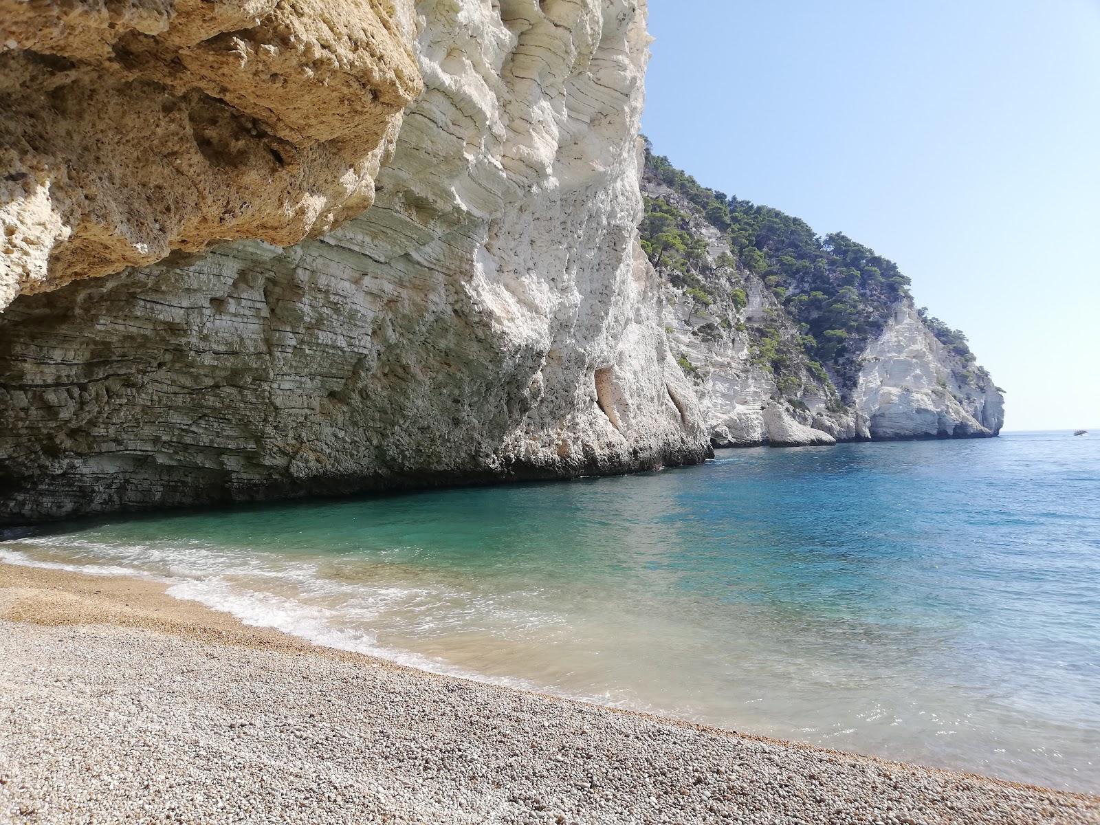 Sandee Spiaggia Di Baia Del Leone