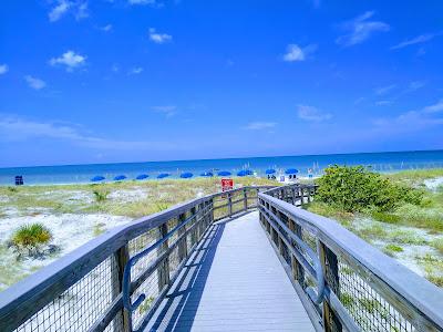 Sandee - Caladesi Island State Park Beach