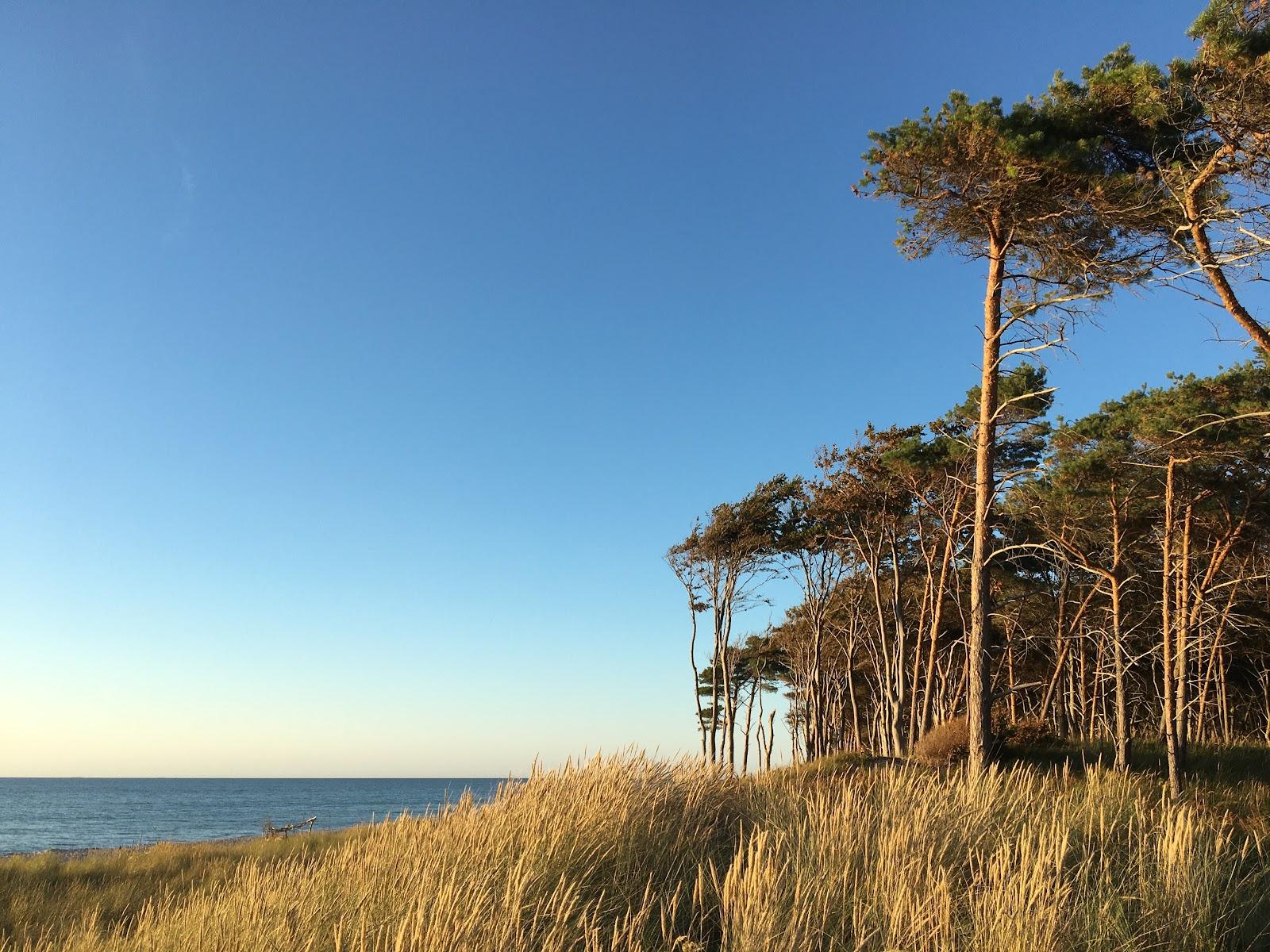 Sandee Weststrand Mullerweg