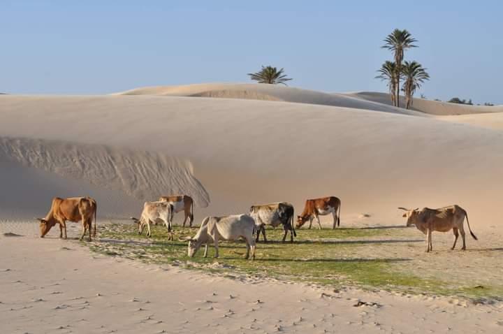 Sandee Plage De Ghahra