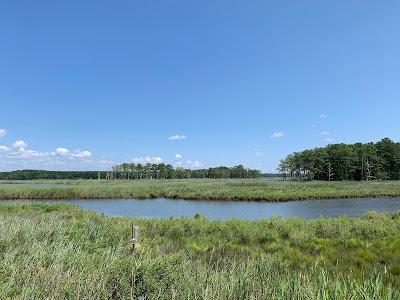 Sandee - Chesapeake Bay Environmental Center