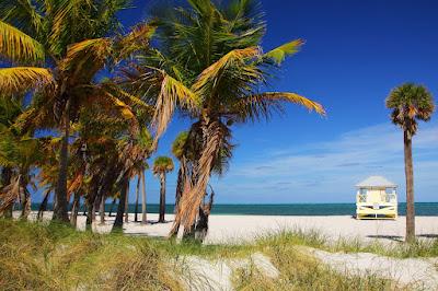 Sandee - Crandon Park Beach