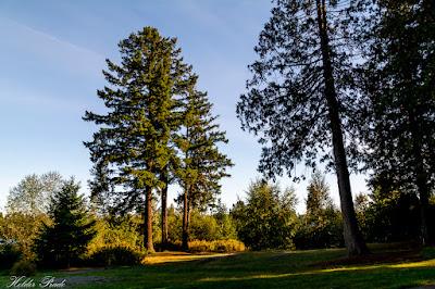 Sandee - Thornton A. Sullivan Park