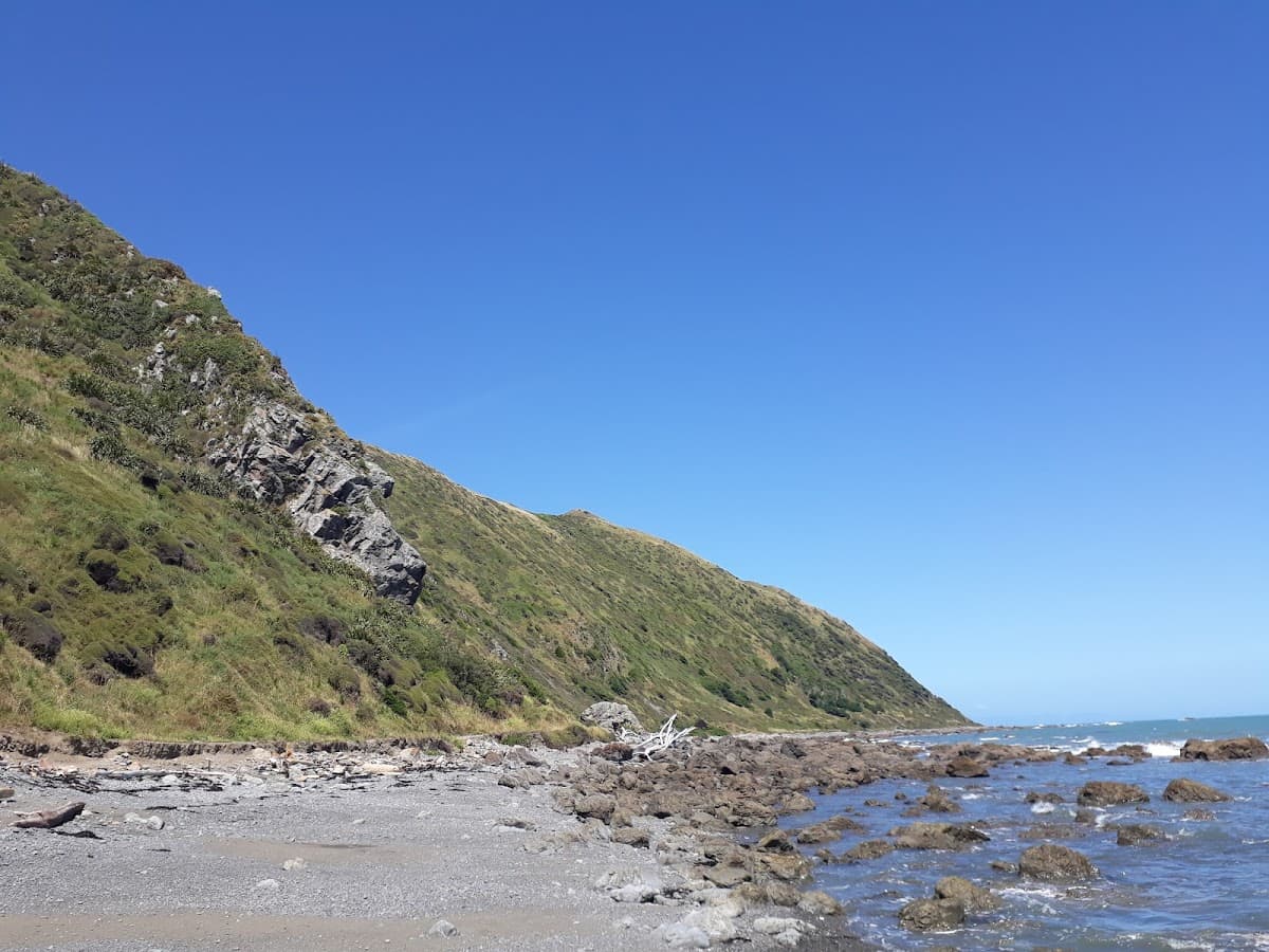 Sandee Pukerua Bay Climbing Rocks Photo