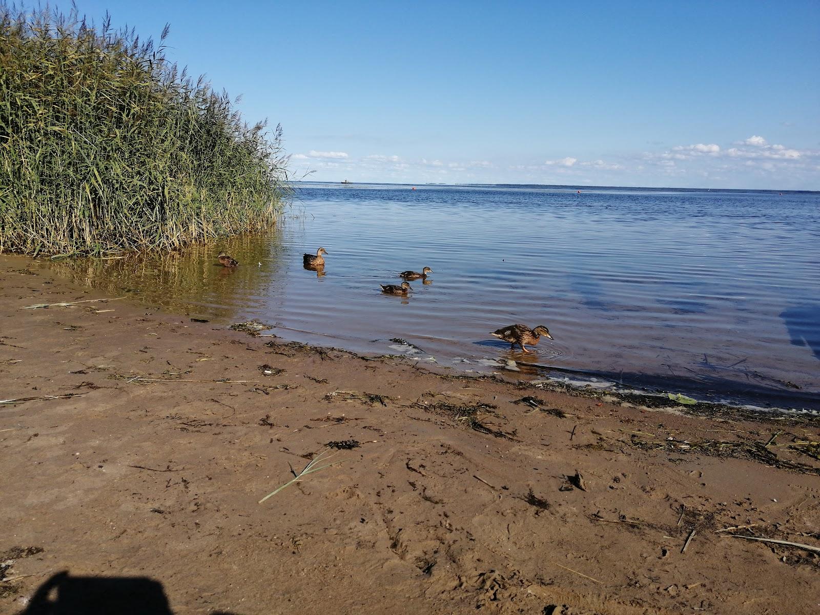 Sandee Pgt Im. Morozova, Plyazh.