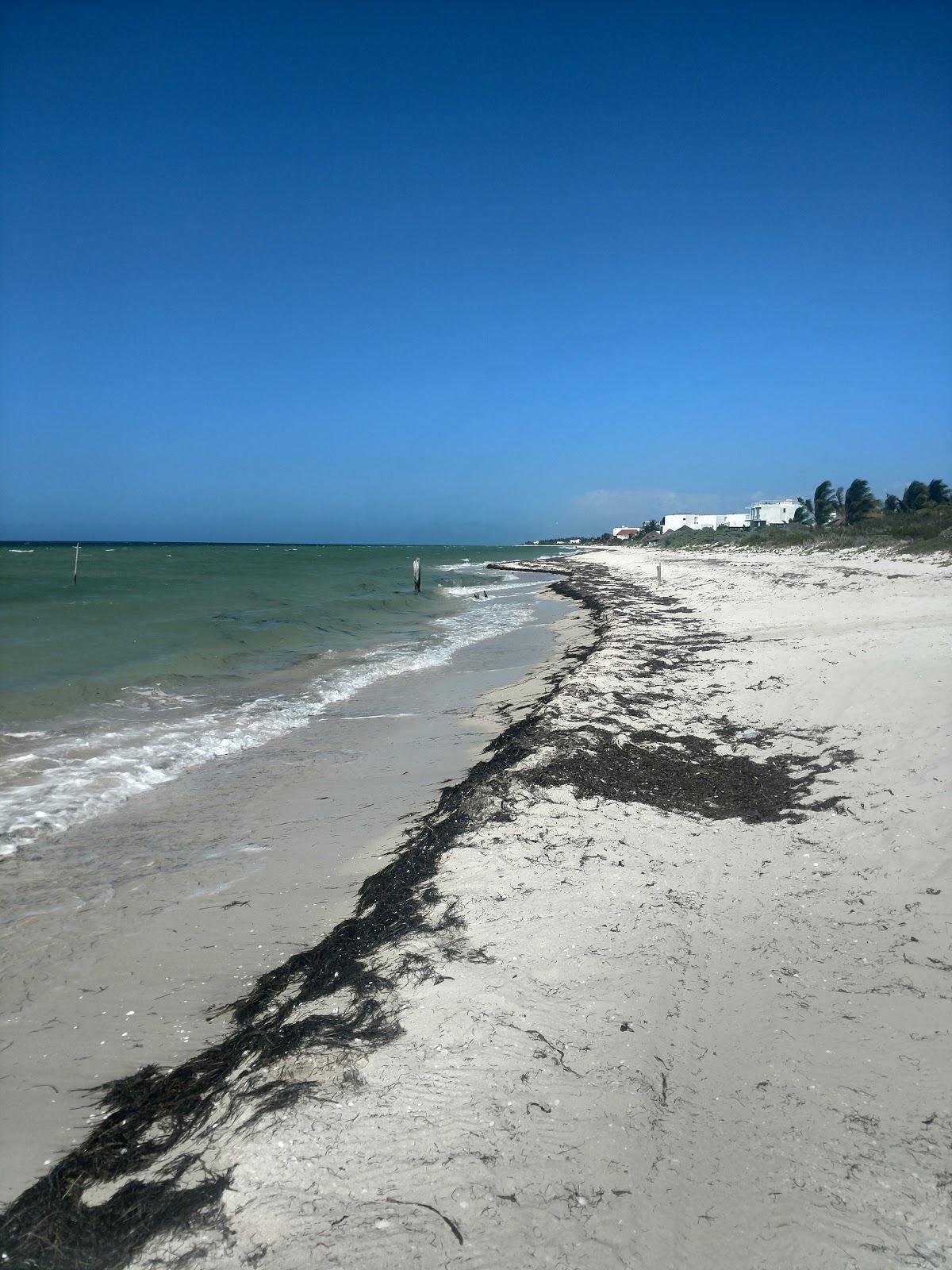 Sandee Club De Playa Cocoloa