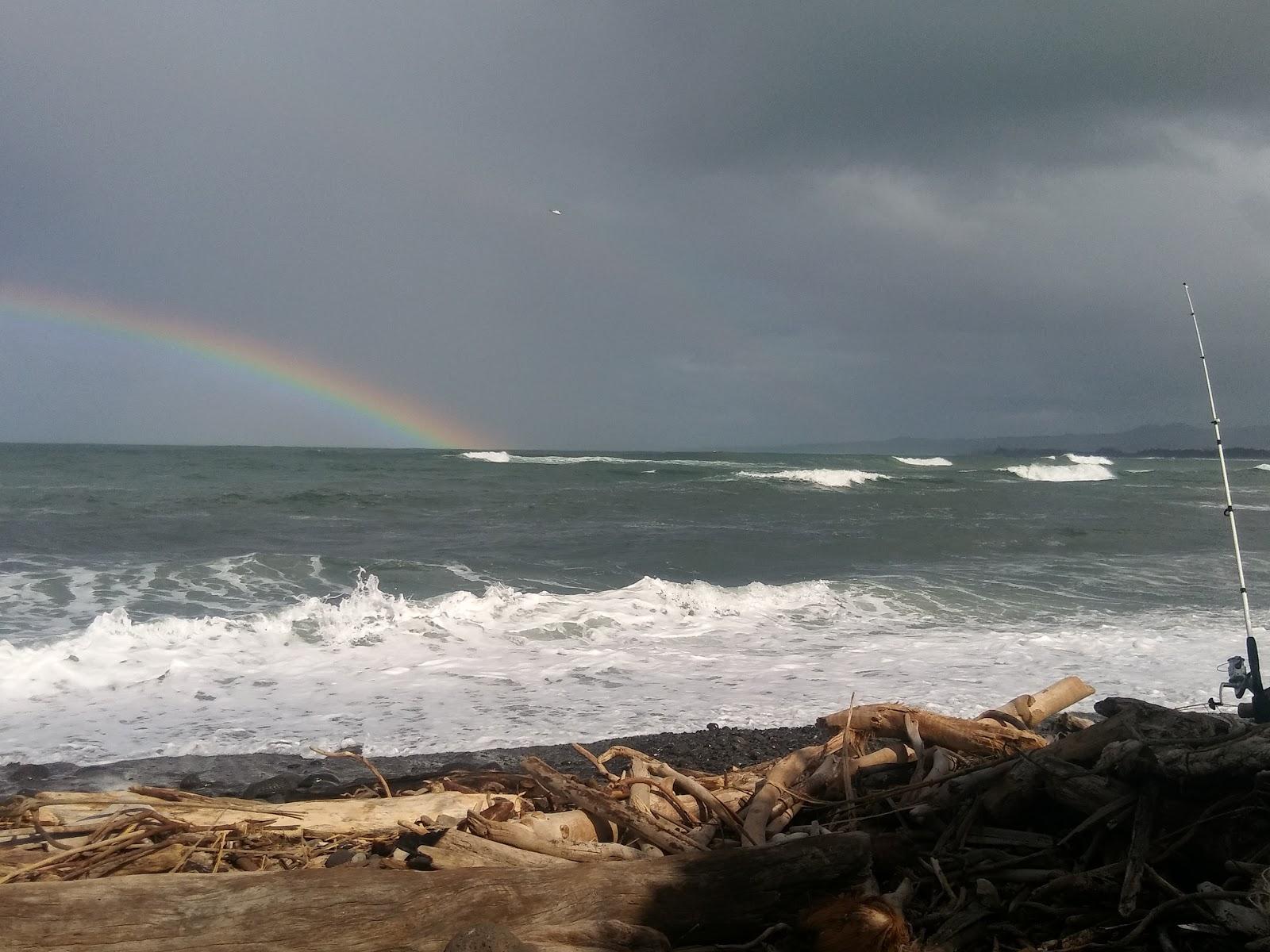 Sandee - Paukukalo Beach