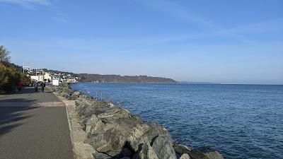 Sandee - Grande Plage Des Rosaires