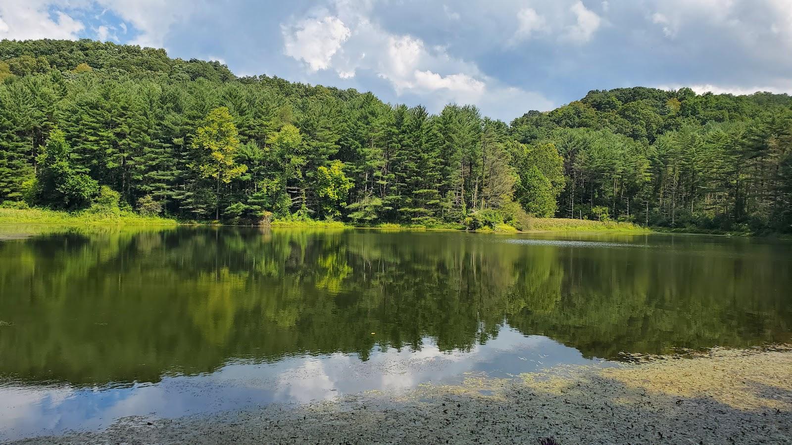 Sandee Lamping Homestead Recreation Area