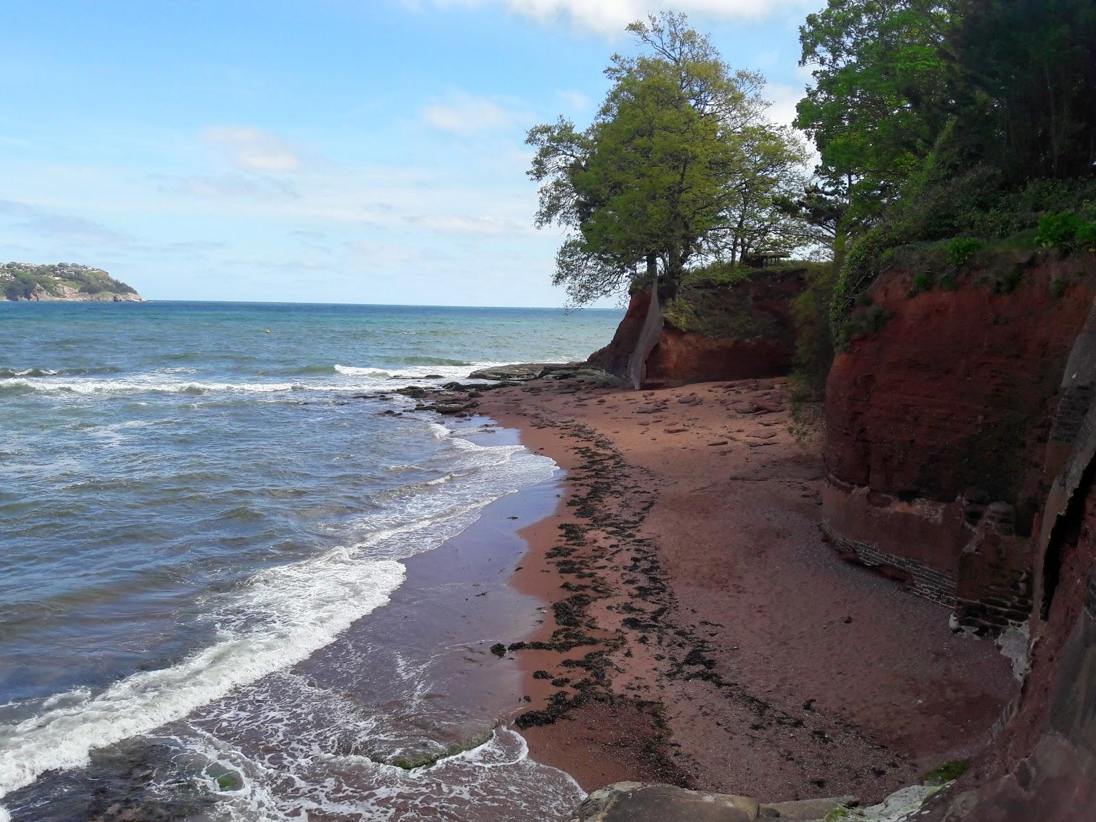 Sandee Institute Beach Photo