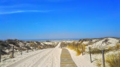 Sandee - Plage De La Salie-Nord