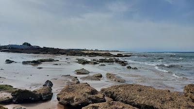 Sandee - El Palmar Beach