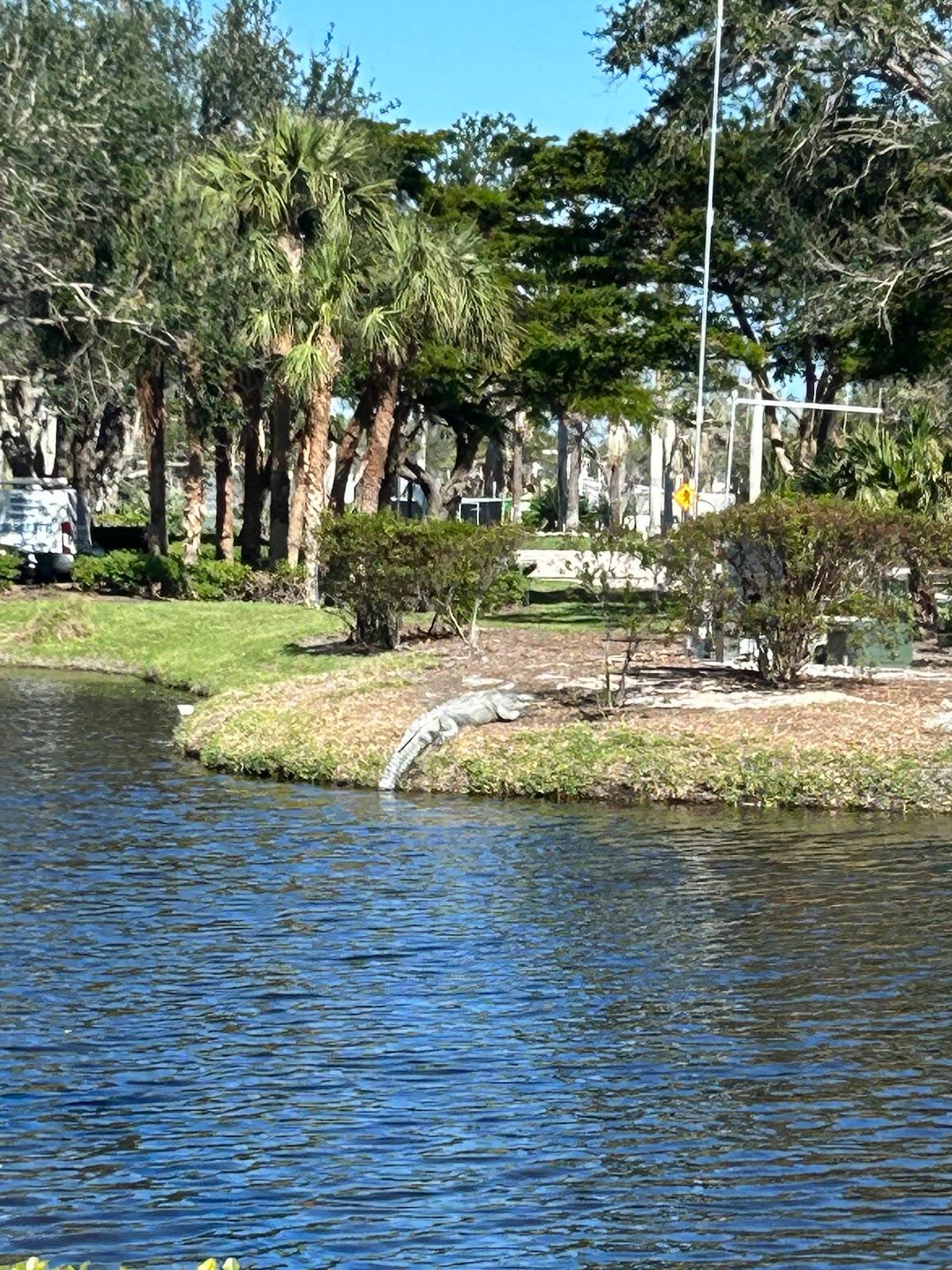 Sandee Bonita Bay