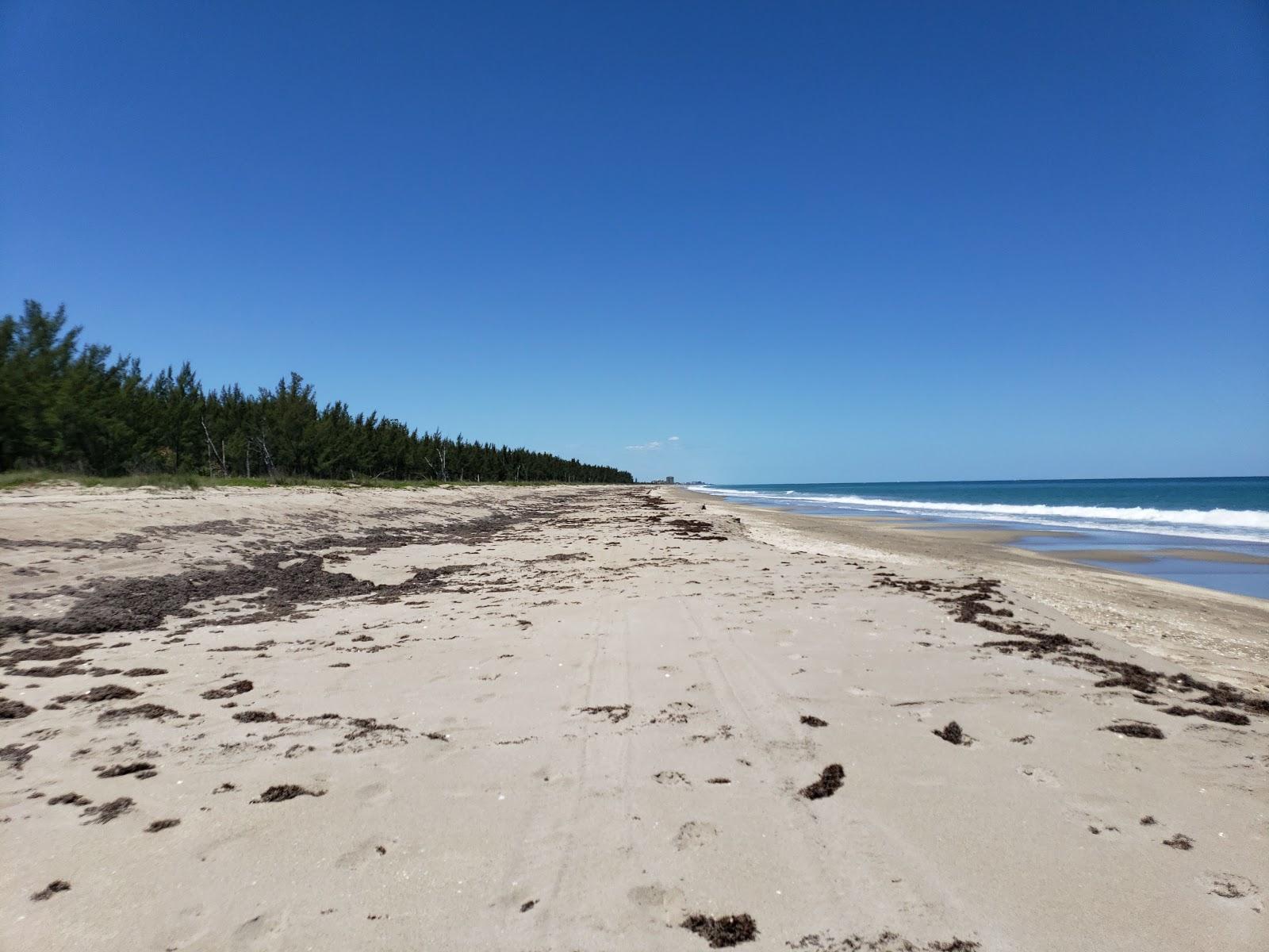 Sandee Middle Cove Beach Photo