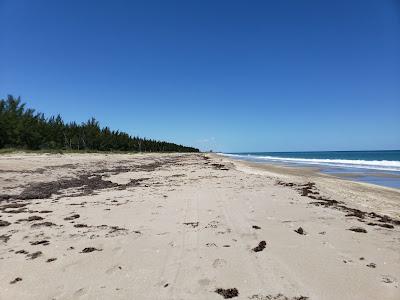 Sandee - Middle Cove Beach