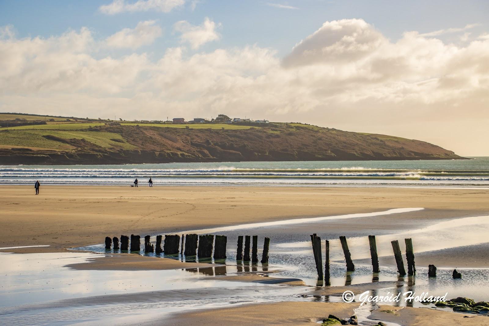 Sandee Harbour View Beach