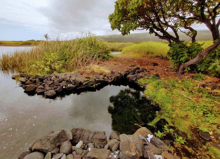 Sandee Kawa Bay Photo