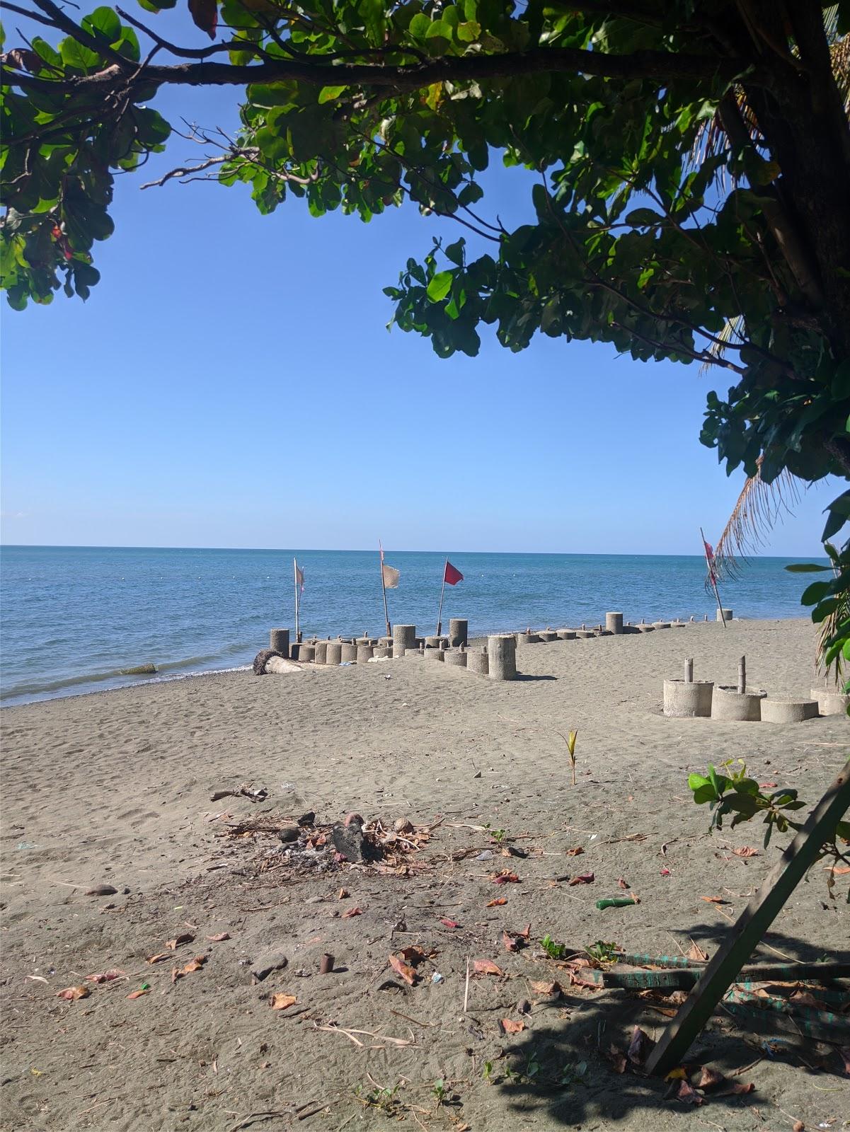 Sandee Reynaldo's Beach