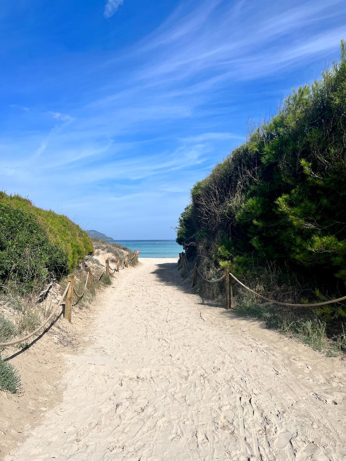 Sandee - Playa de Muro