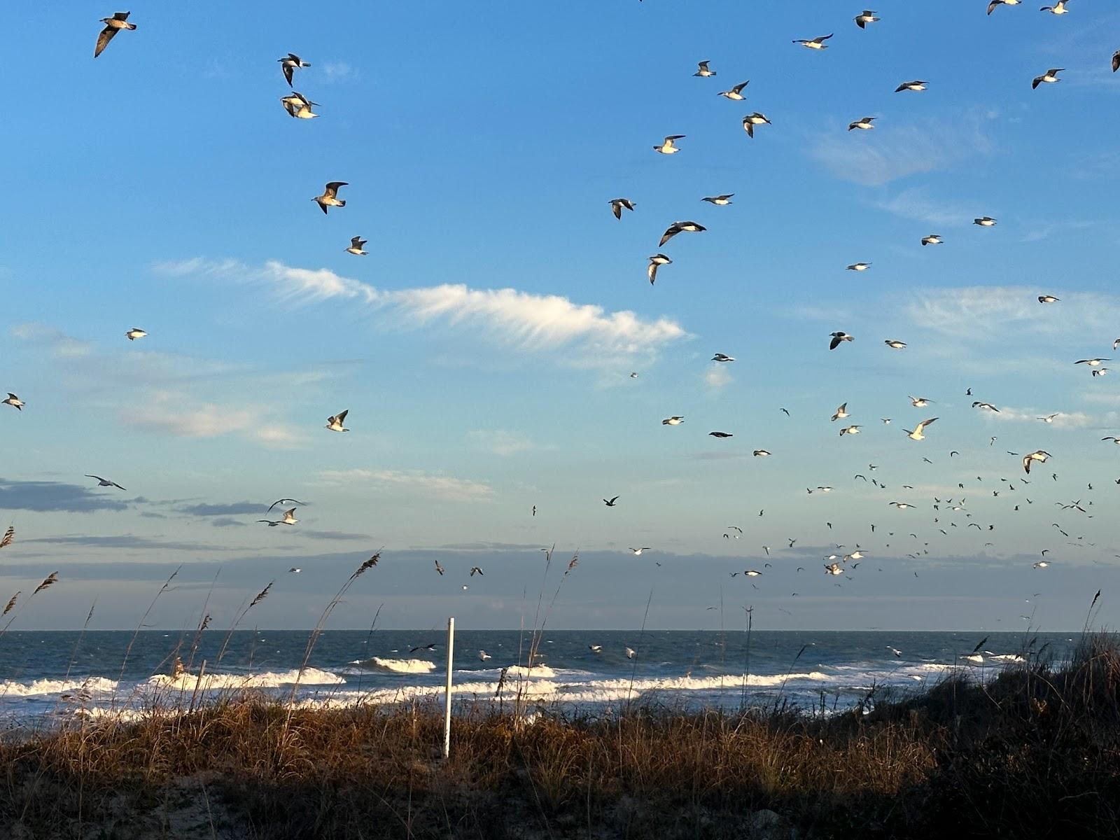 Sandee - Currituck Beach