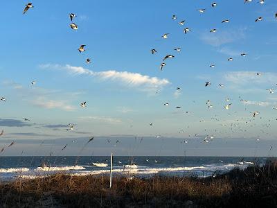 Sandee - Currituck Beach