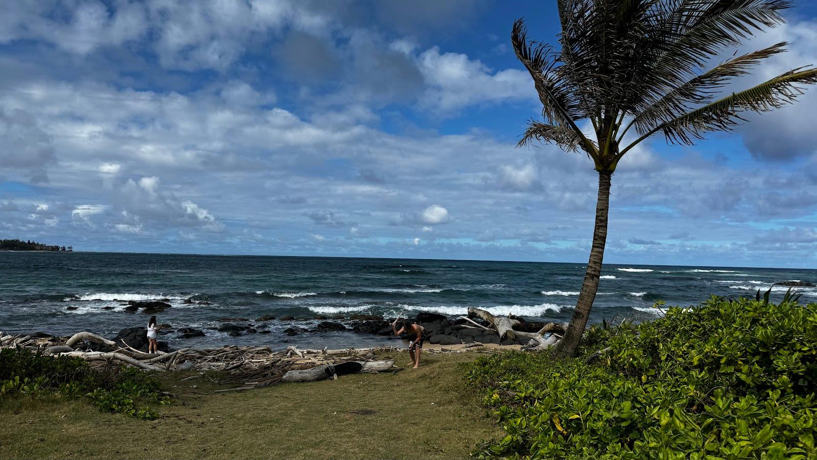 Sandee - Lydgate Beach Park