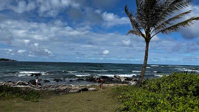 Sandee - Lydgate Beach Park