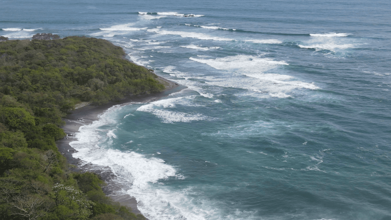 Sandee Playa Nilo Photo