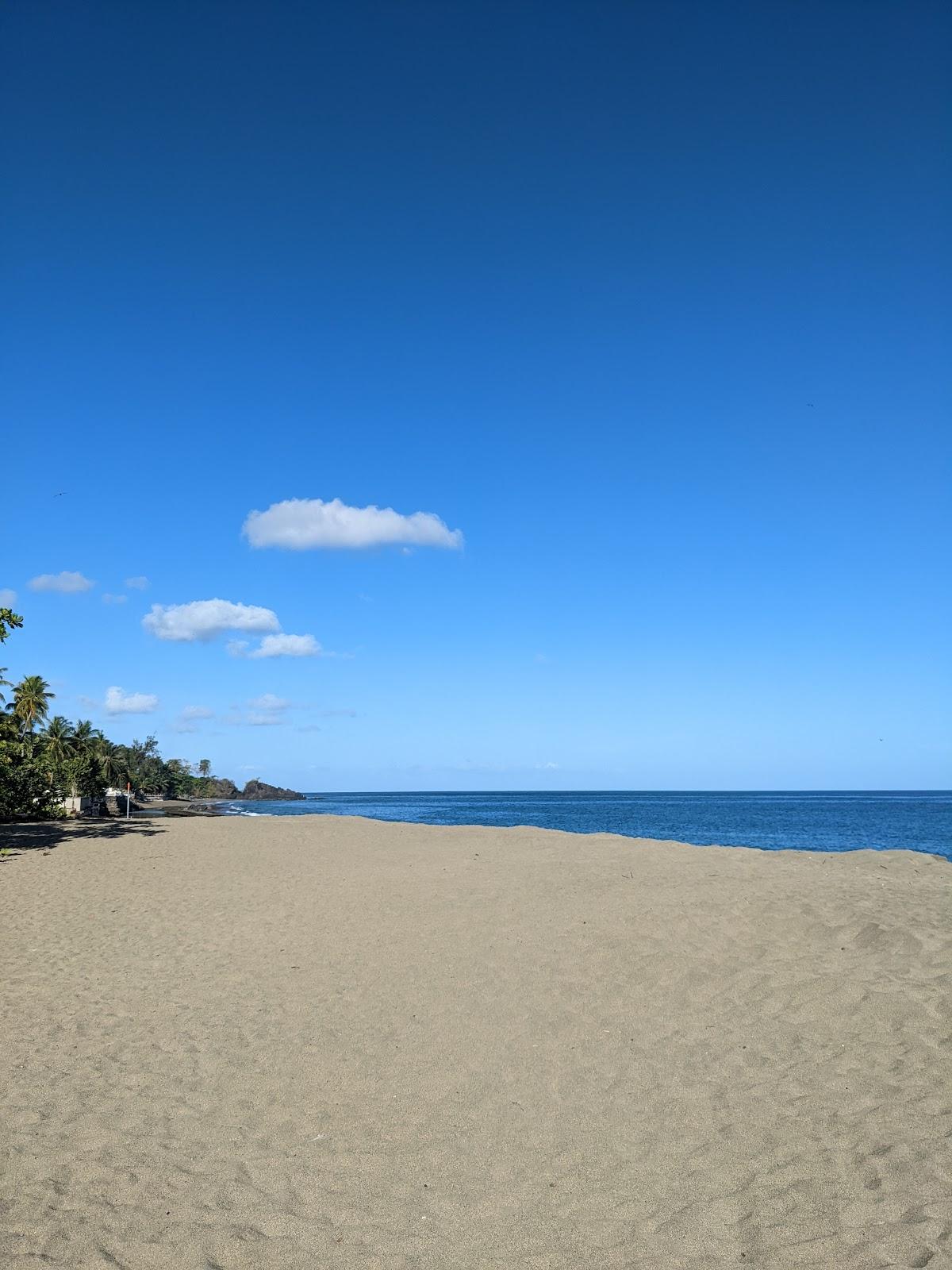 Sandee Courland Bay