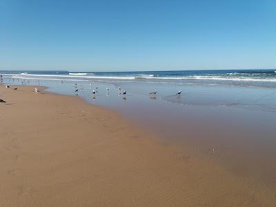 Sandee - Praia Da Nova Vaga