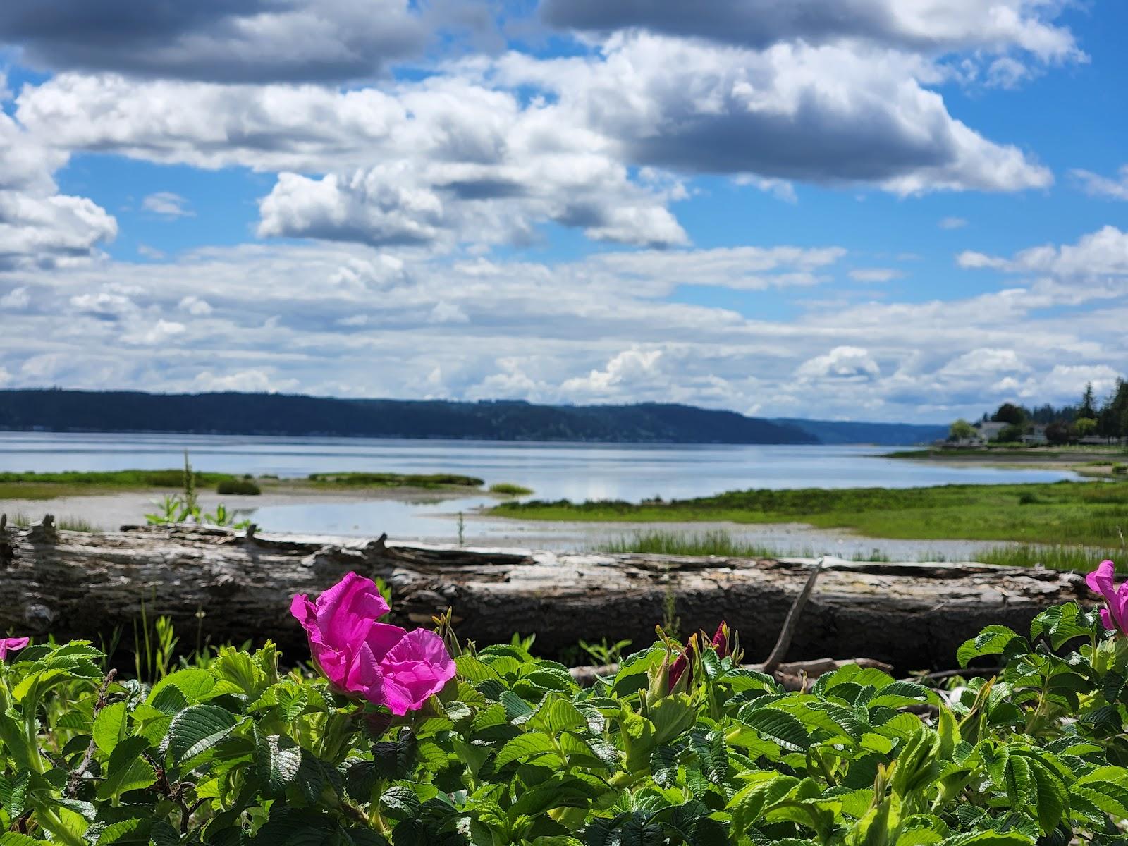 Sandee - Belfair State Park