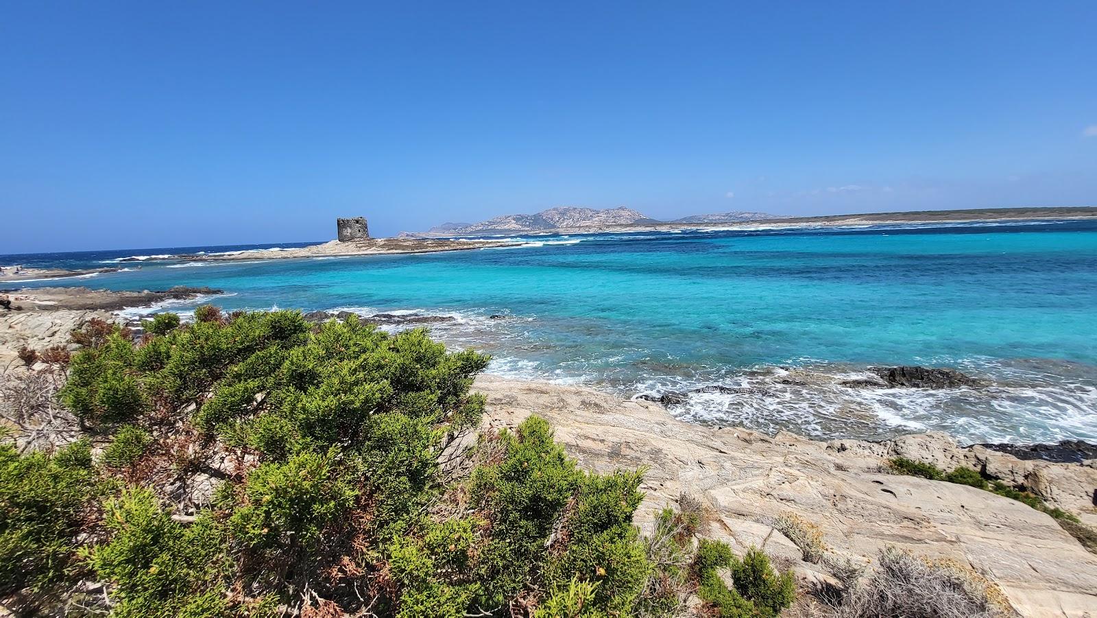 Sandee Spiaggia Della Pelosetta