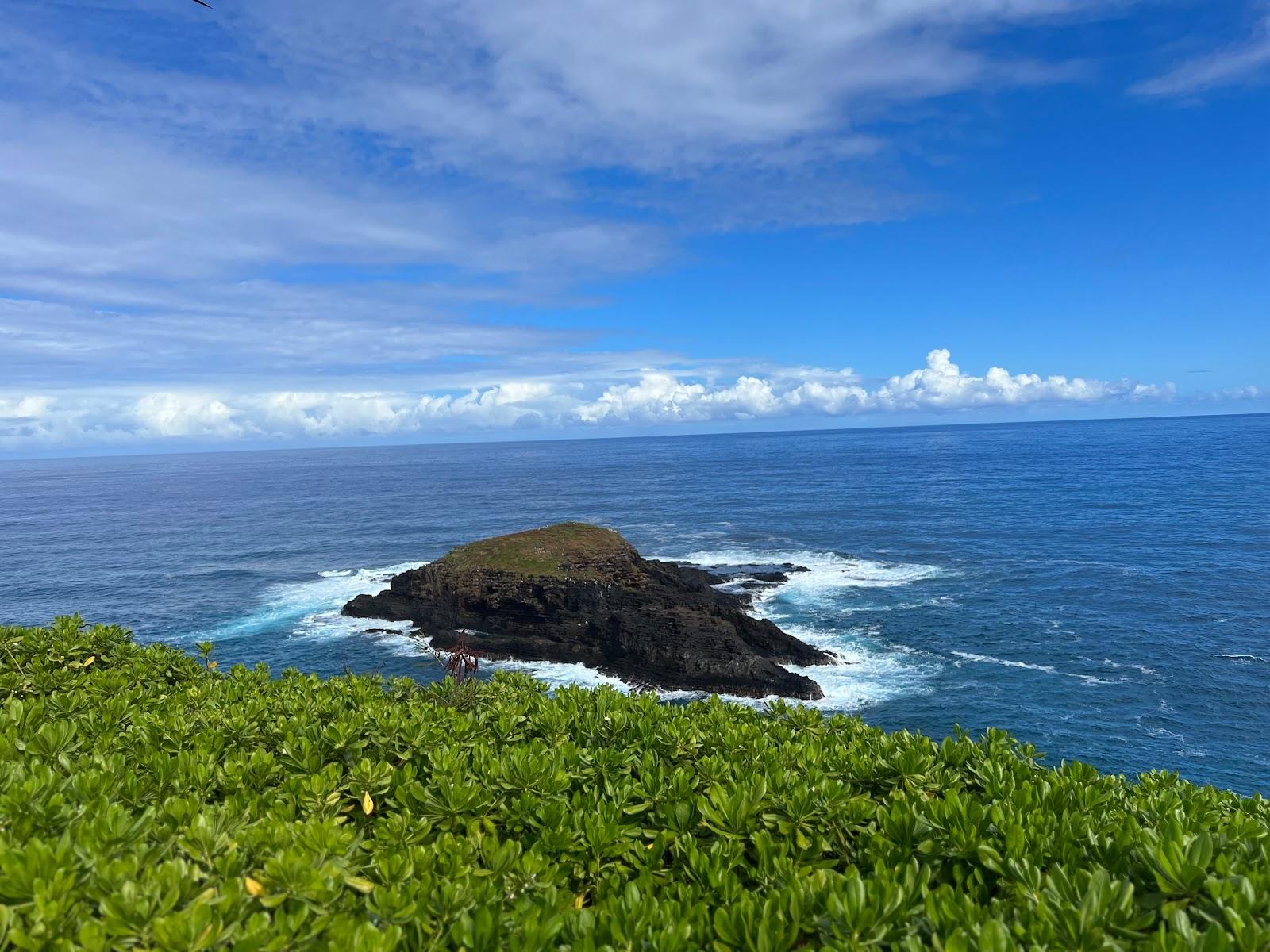 Sandee - Kilauea Point