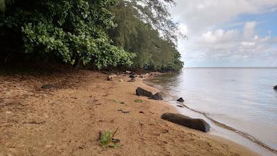 Sandee - Wyllie Beach