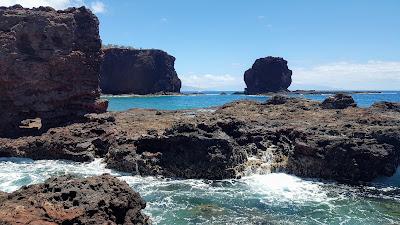 Sandee - Hulopoe Bay Beach