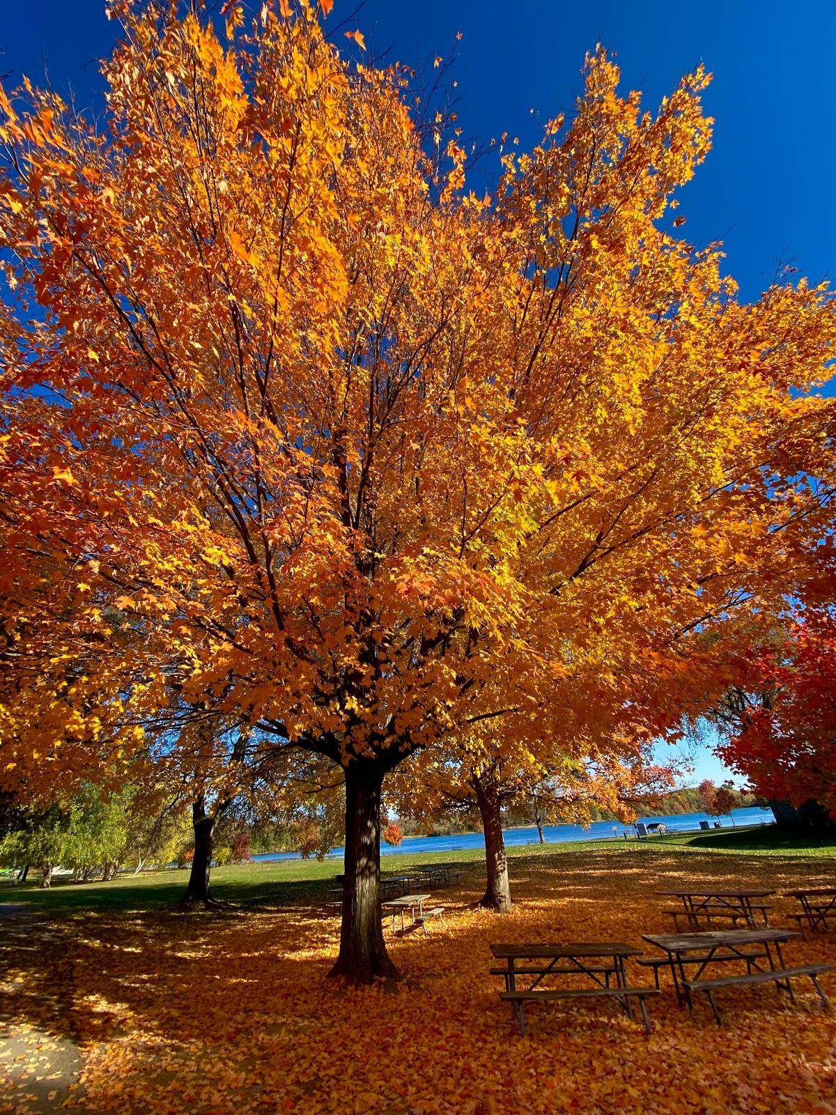 Sandee - Island Lake Picnic Grounds