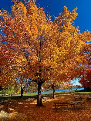 Sandee - Island Lake Picnic Grounds