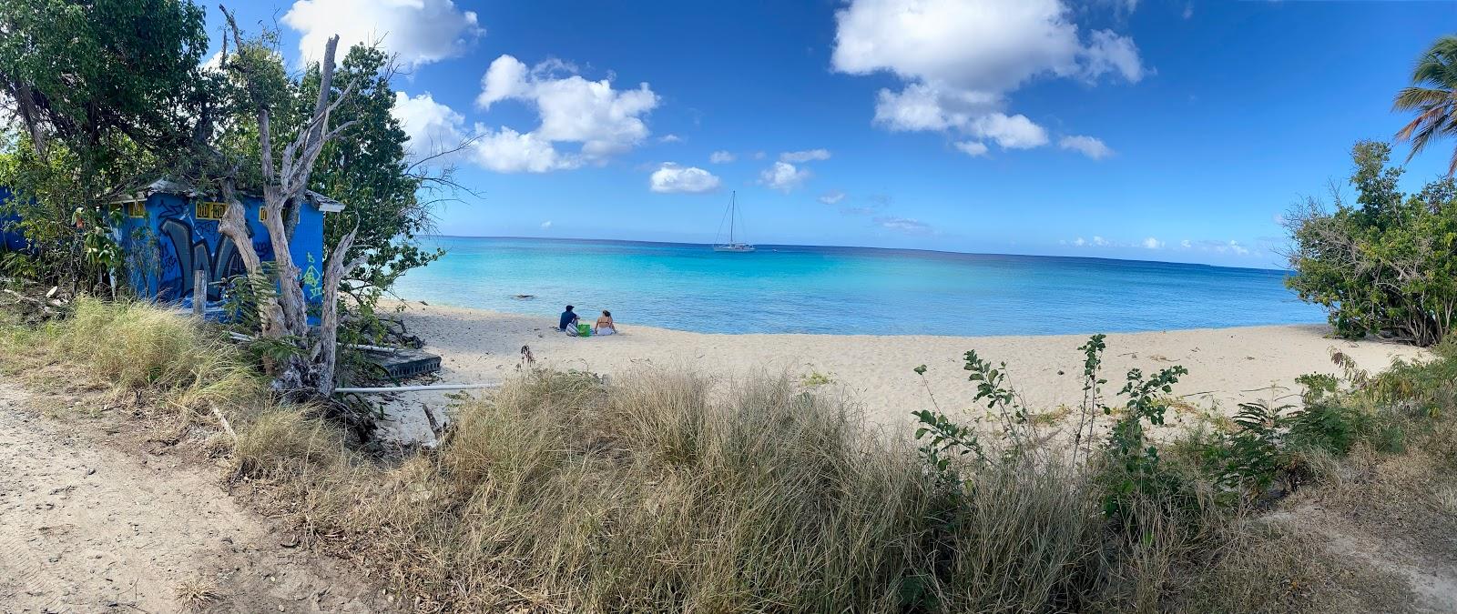 Sandee Sprat Hall Beach