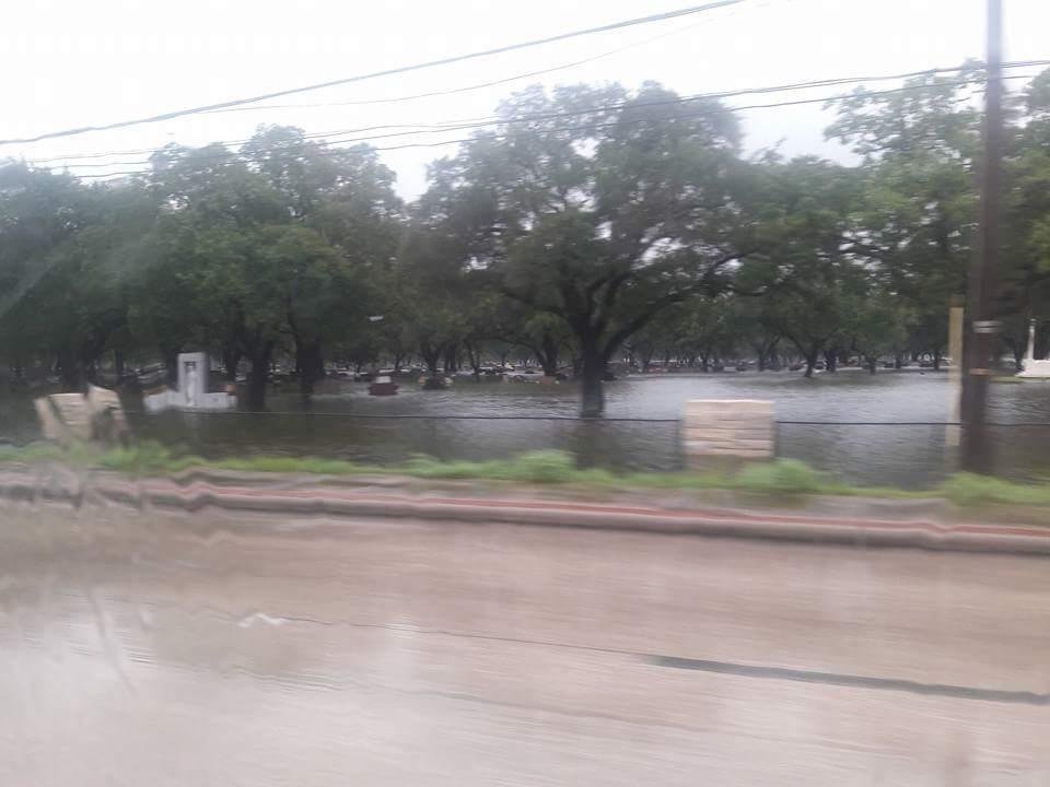 Sandee State Highway 35