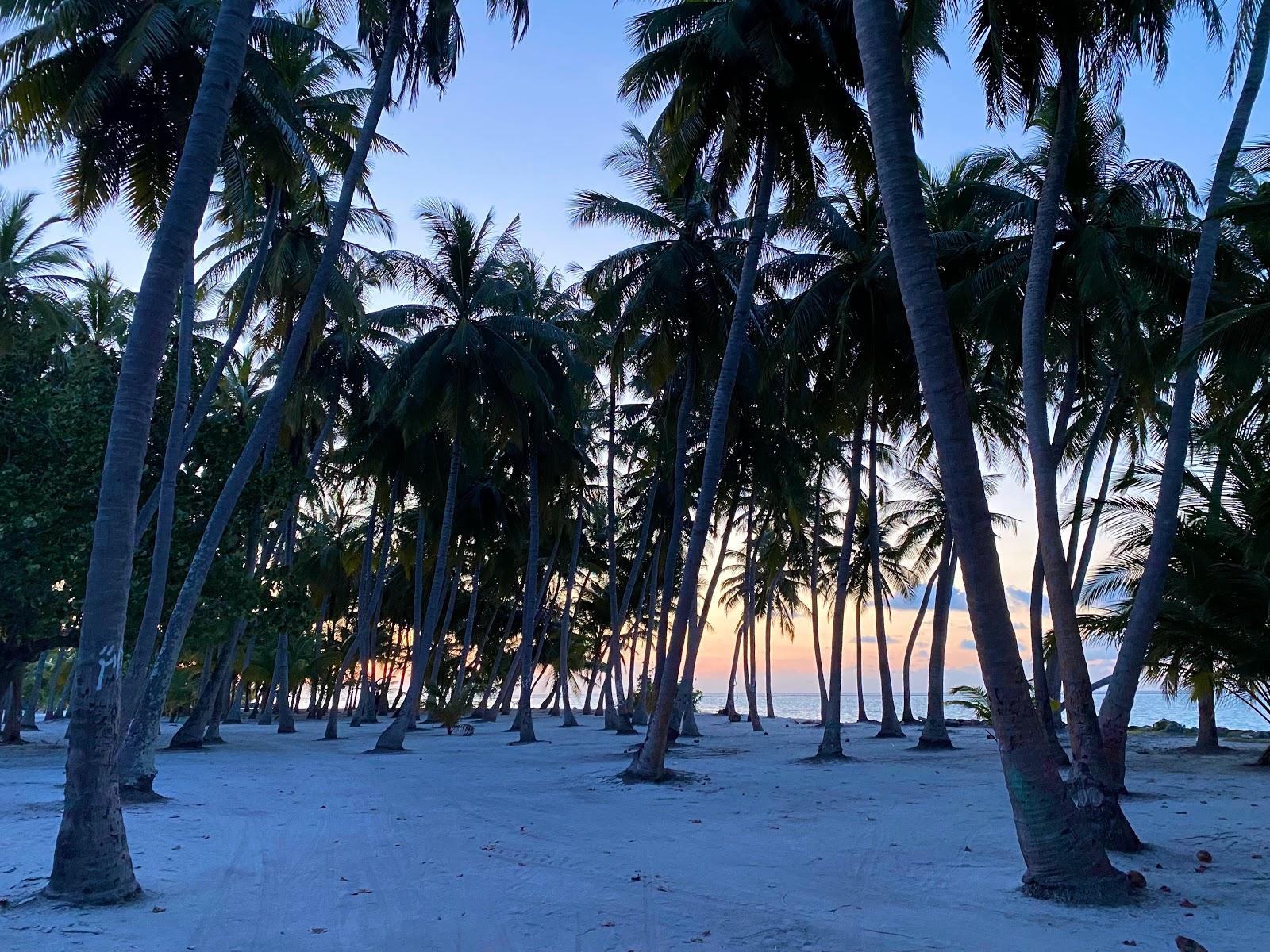 Sandee West Beach Photo