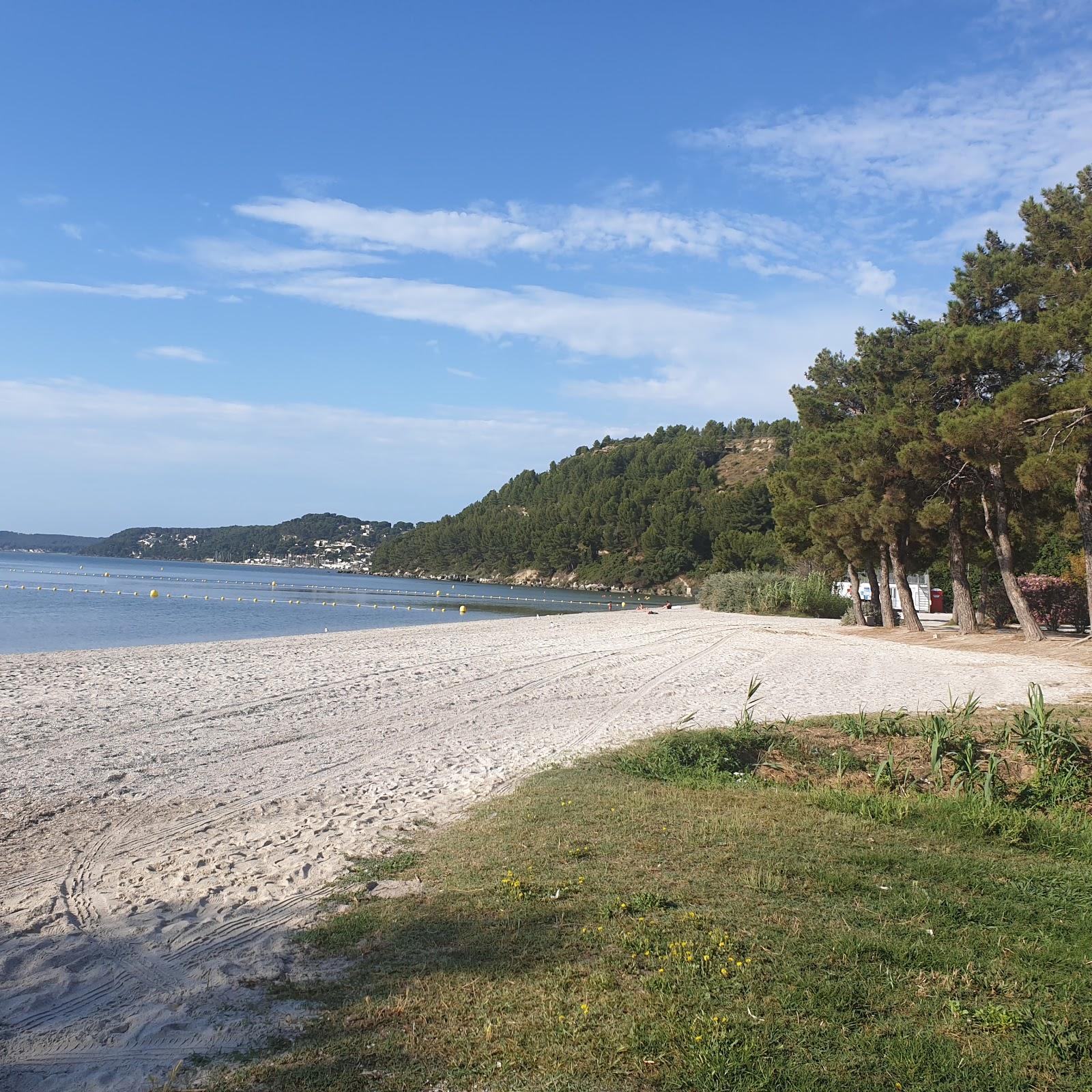 Sandee Plage De Monteau

