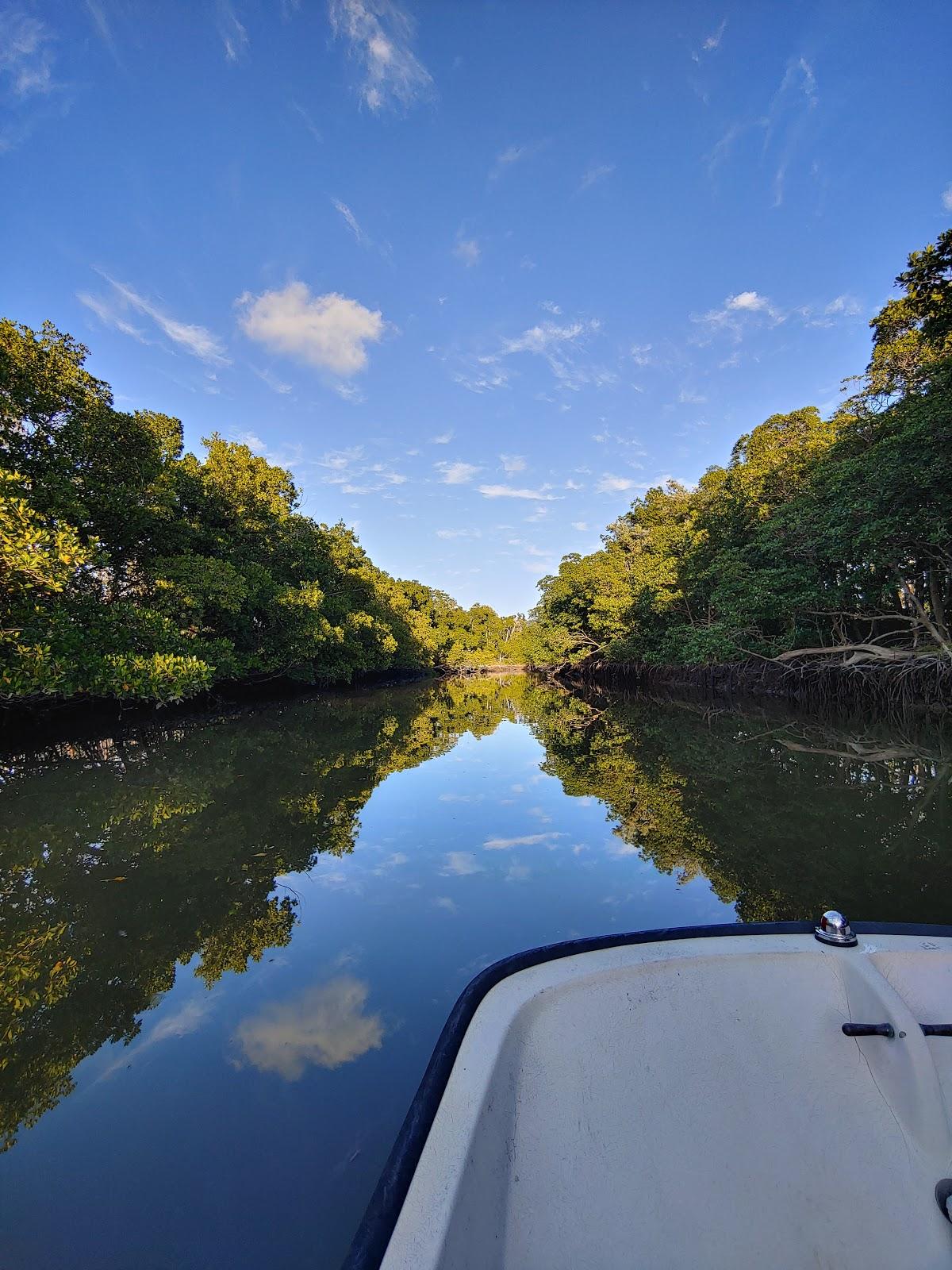 Everglades National Park Photo - Sandee