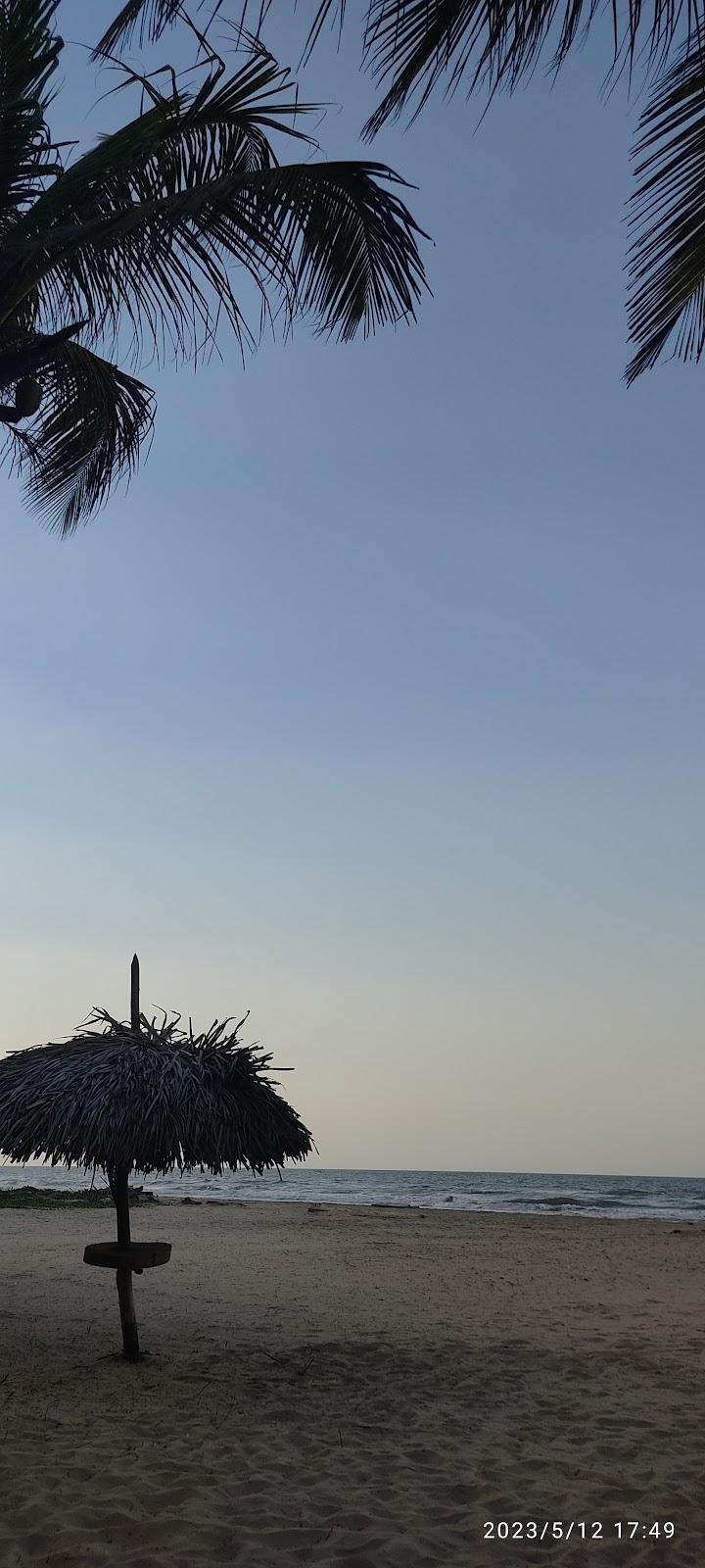 Sandee Playa Daiquiri